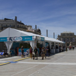 Bâches translucides